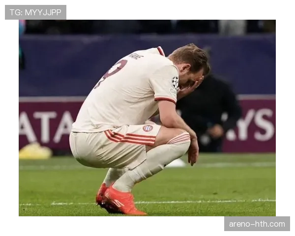 凯恩今日最新消息