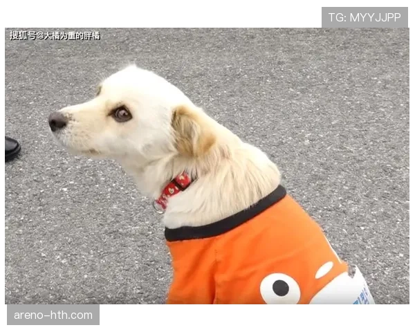 张琳芃家的狗吃的都比我一周饭钱贵